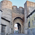 Formando parte de las murallas de la ciudadela en su parte norte, se encuentra el Arco de San Basilio, conocido también como Arco del Robledo. Su construcción data probablemente del siglo XII.